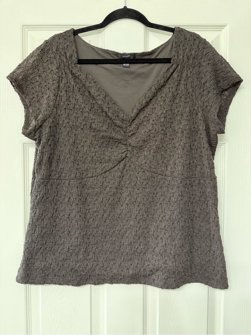 Alfani Taupe Textured V-Neck Short Sleeve Top